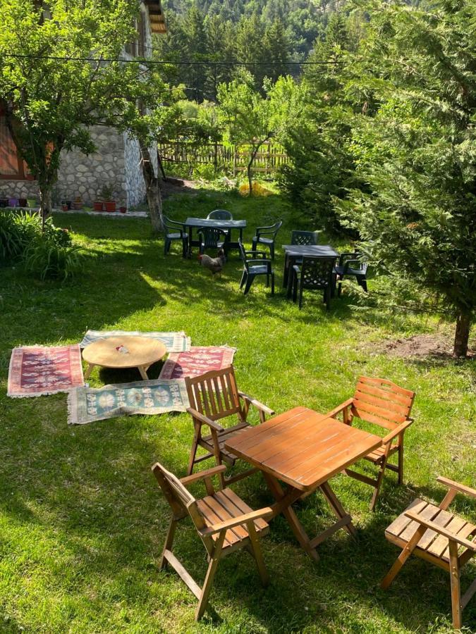 Guesthouse Demushi Valbone Dış mekan fotoğraf