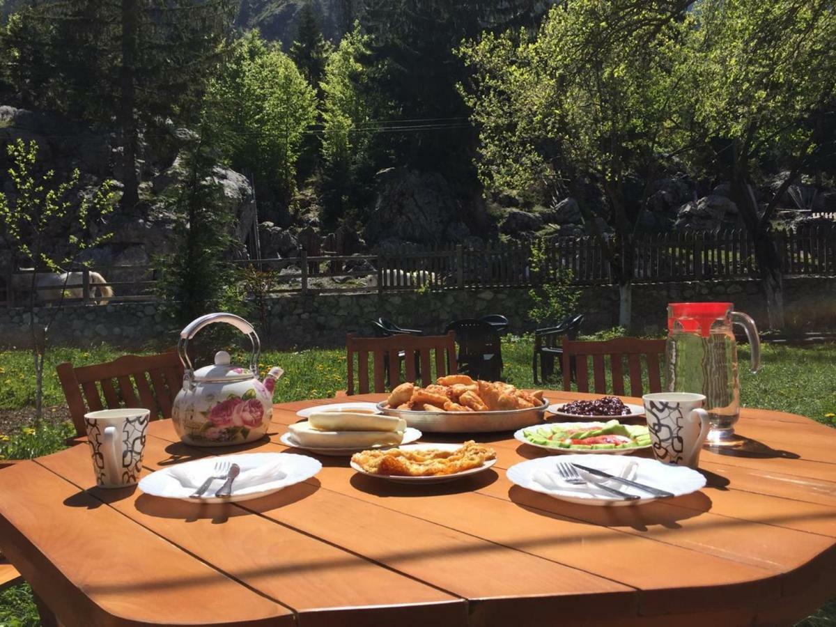 Guesthouse Demushi Valbone Dış mekan fotoğraf