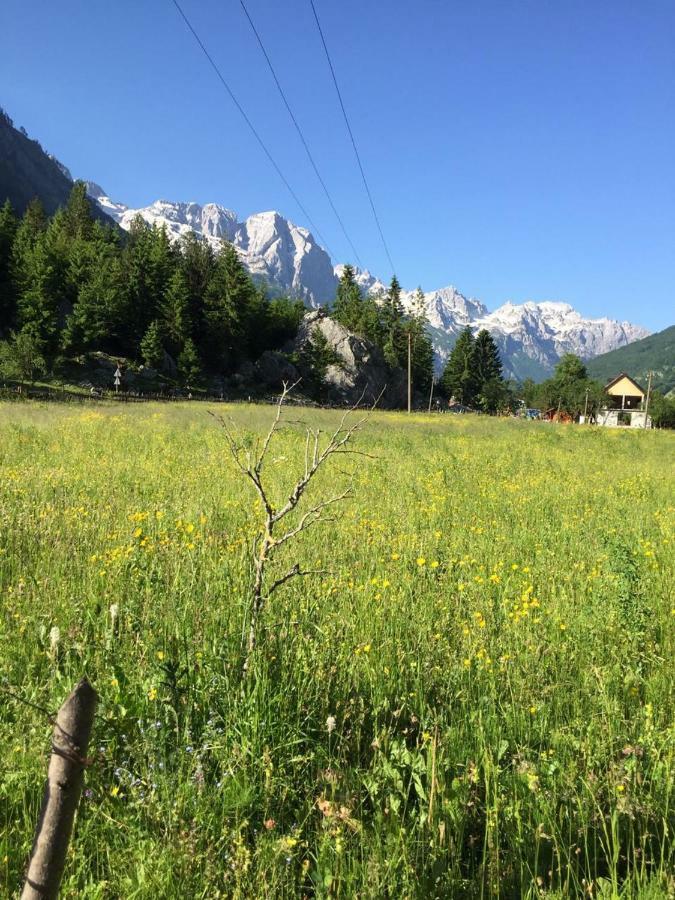 Guesthouse Demushi Valbone Dış mekan fotoğraf