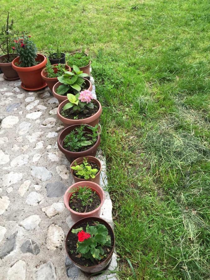 Guesthouse Demushi Valbone Dış mekan fotoğraf